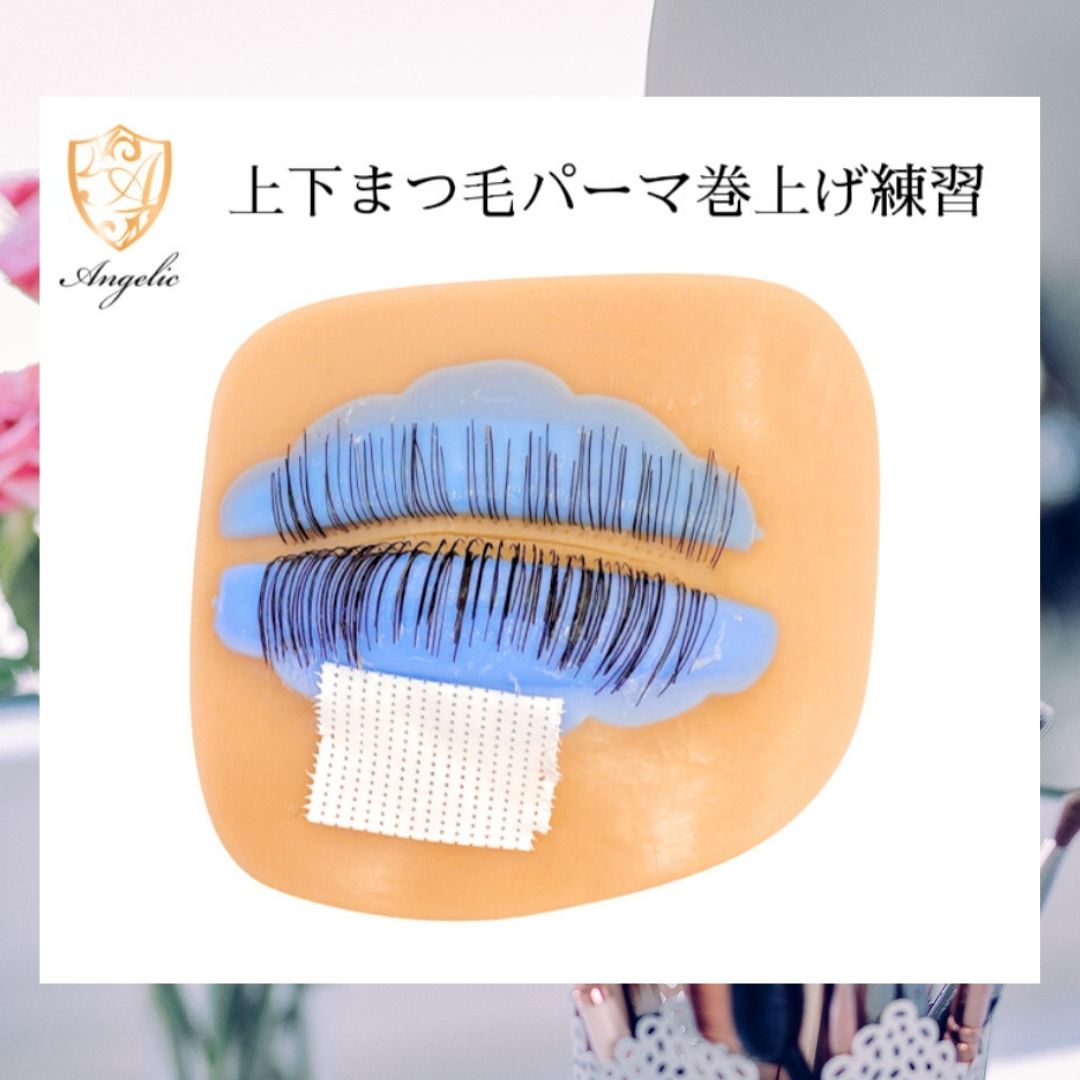 楽天市場】アンジェリック マツエク 練習用 人毛まつ毛 ストレート