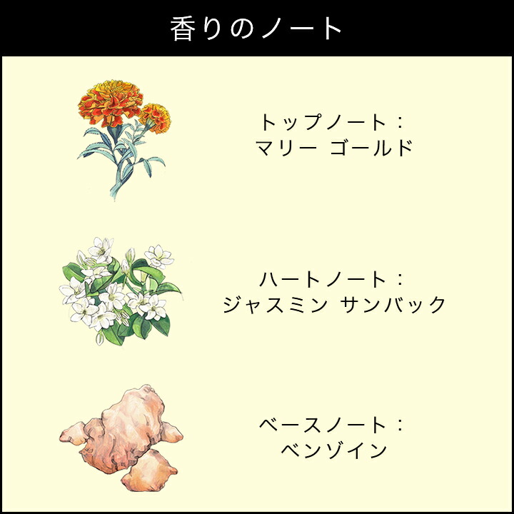 楽天市場】公式｜ジョー マローン ロンドン ジャスミン サンバック