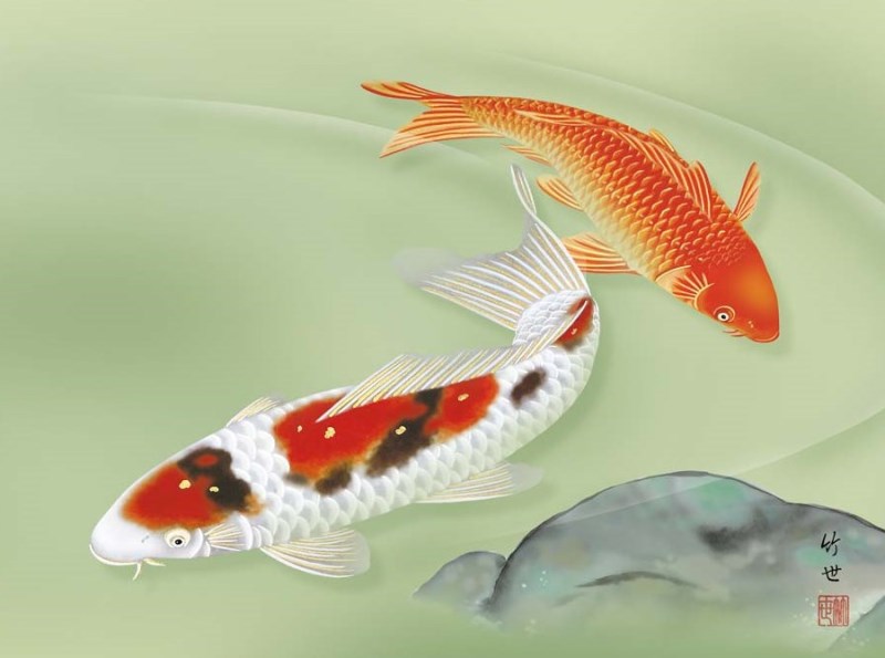 楽天市場】額絵 田村竹世 遊鯉 f8・f6・f4サイズ 現代日本画シリーズ