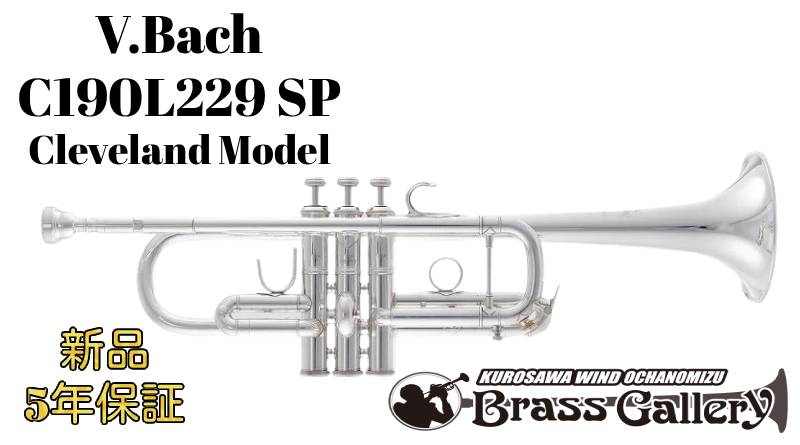 トランペット c管」の人気商品一覧 | 安い商品を通販サイトから探す