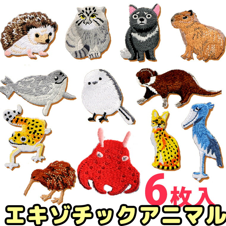 楽天市場】6枚入 アイロンワッペン 可愛いエキゾチックアニマル 高