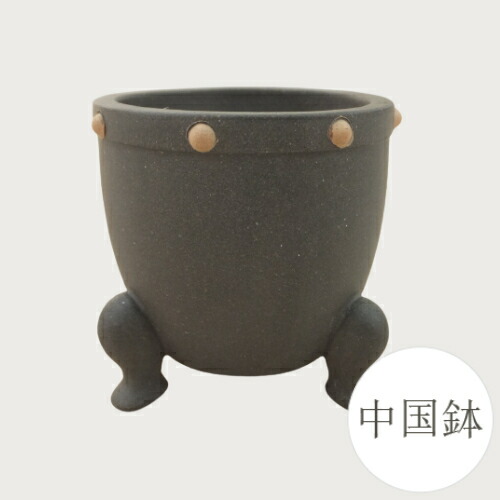 中国 植木鉢」の人気商品一覧 | 安い商品を通販サイトから探す - 価格.com