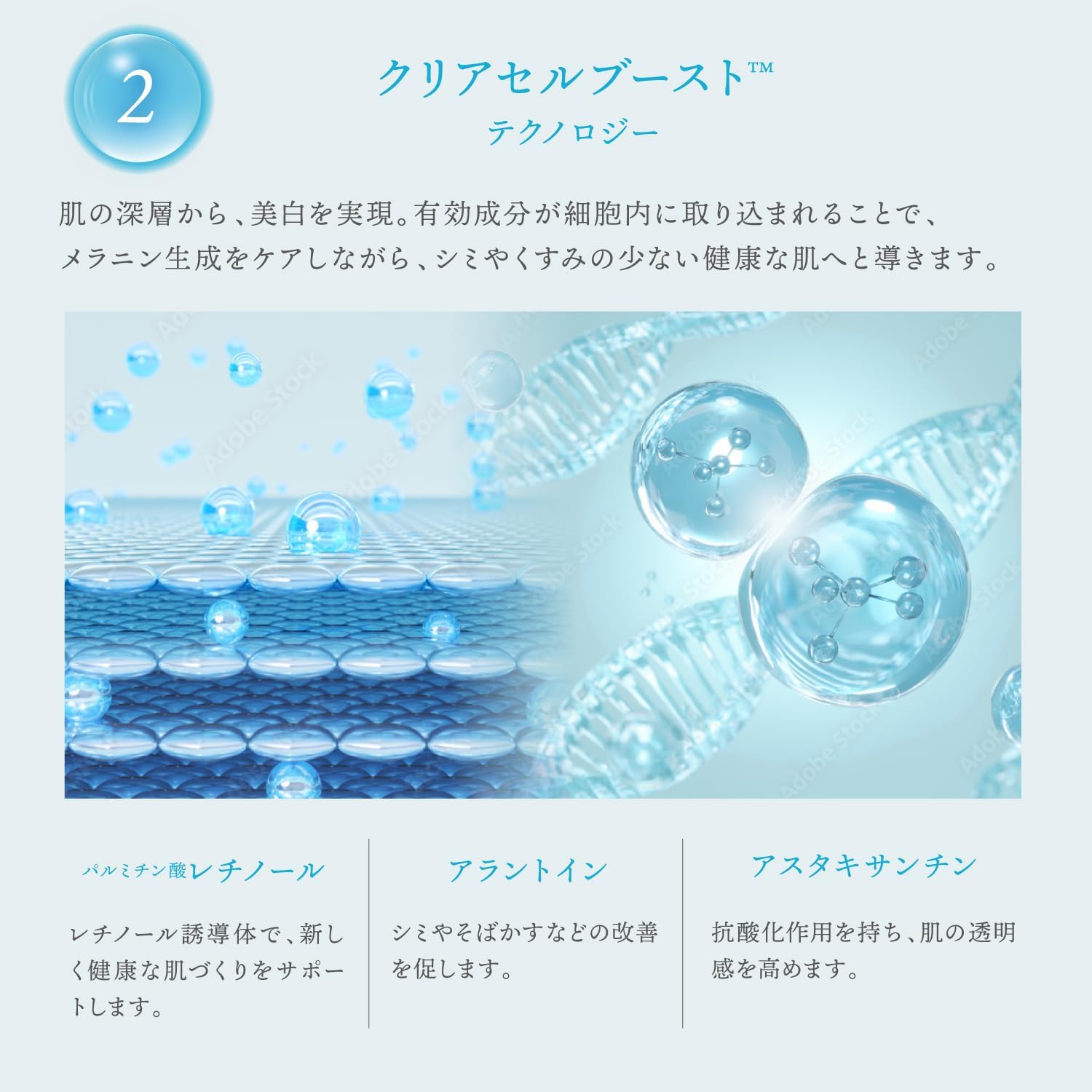 楽天市場】公式 スーパーSALE30%OFF 【 KYOGOKU クリスタルスキン