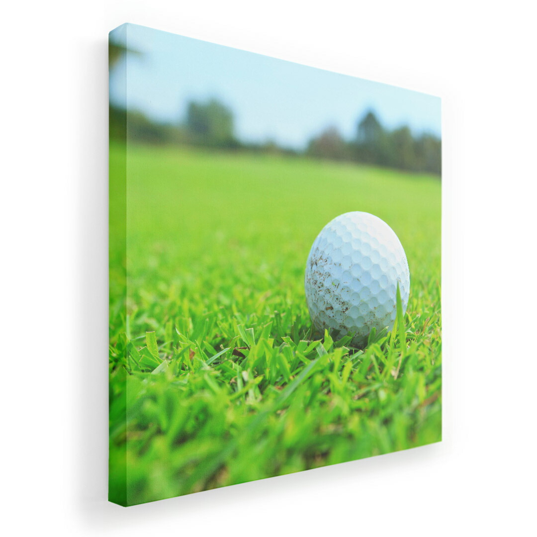 楽天市場】アートパネル ゴルフの通販