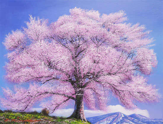 楽天市場】絵画 油絵 王仁塚（わにづか）の桜 （木村由記夫） 送料無料
