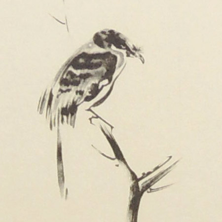 楽天市場】掛け軸 枯木鳴鵙図 宮本武蔵 （複製掛軸）（掛軸小物なし