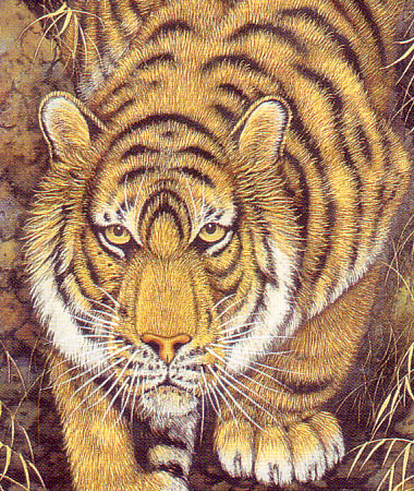 高松石華作 猛虎図 共箱 美品 掛け軸 高松石華作 猛虎