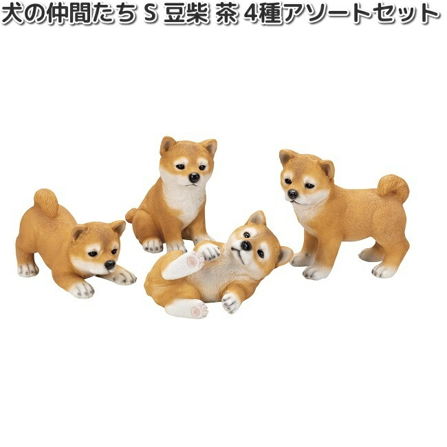 楽天市場】HH30591 犬の仲間たち S 豆柴 茶 4種アソートセット