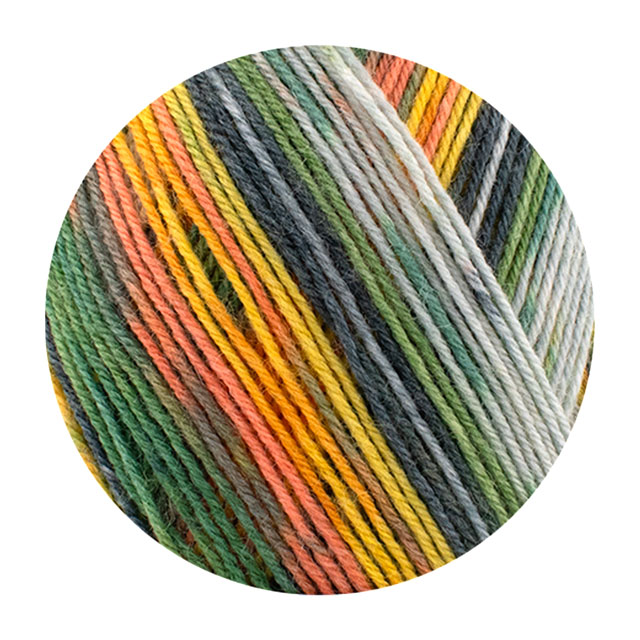 楽天市場】毛糸 Opal-オパール- レーゲンヴァルト20 4ply/4本撚り 9770