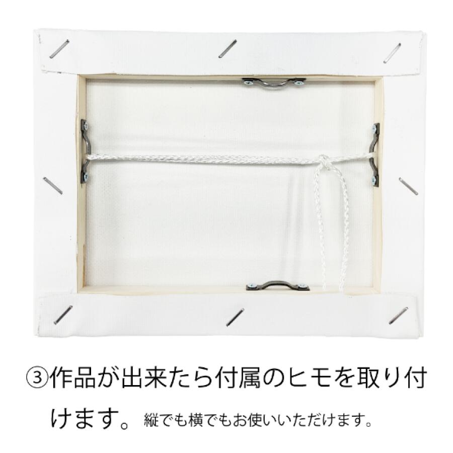 楽天市場】F10号 キャンバス付きアクリルボックス(530×455mm) お