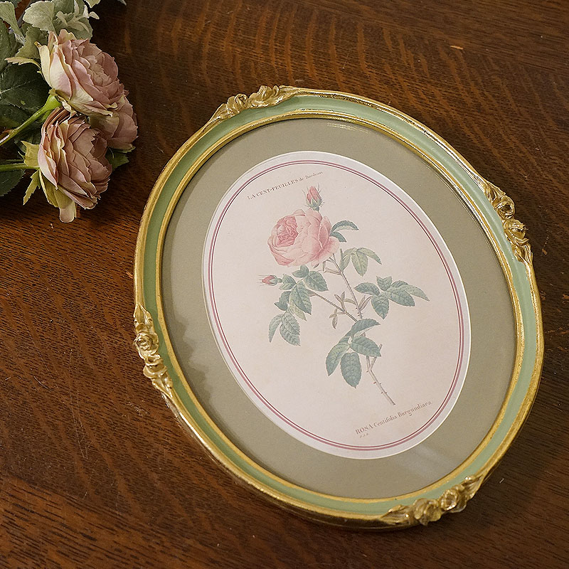 楽天市場】絵画 インテリア ルドゥーテ 薔薇 花 額絵 楕円 Aタイプ