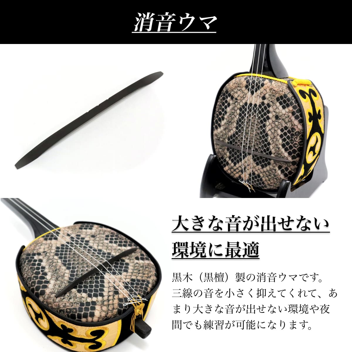 楽天市場】沖縄三線セット 初心者用究極コンプリートフルセット 匠の