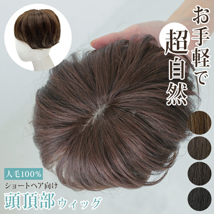 楽天市場】部分ウィッグ 頭頂部 白髪隠し ウィッグ 人工頭皮付き 人毛