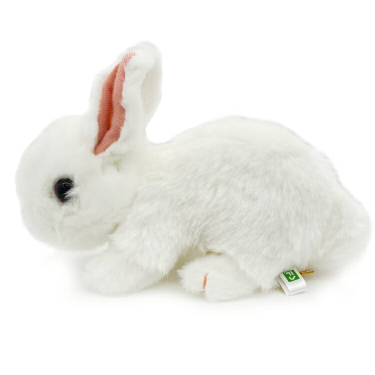 楽天市場】ウサギ ぬいぐるみ ホワイト りくのなかまたち 533037