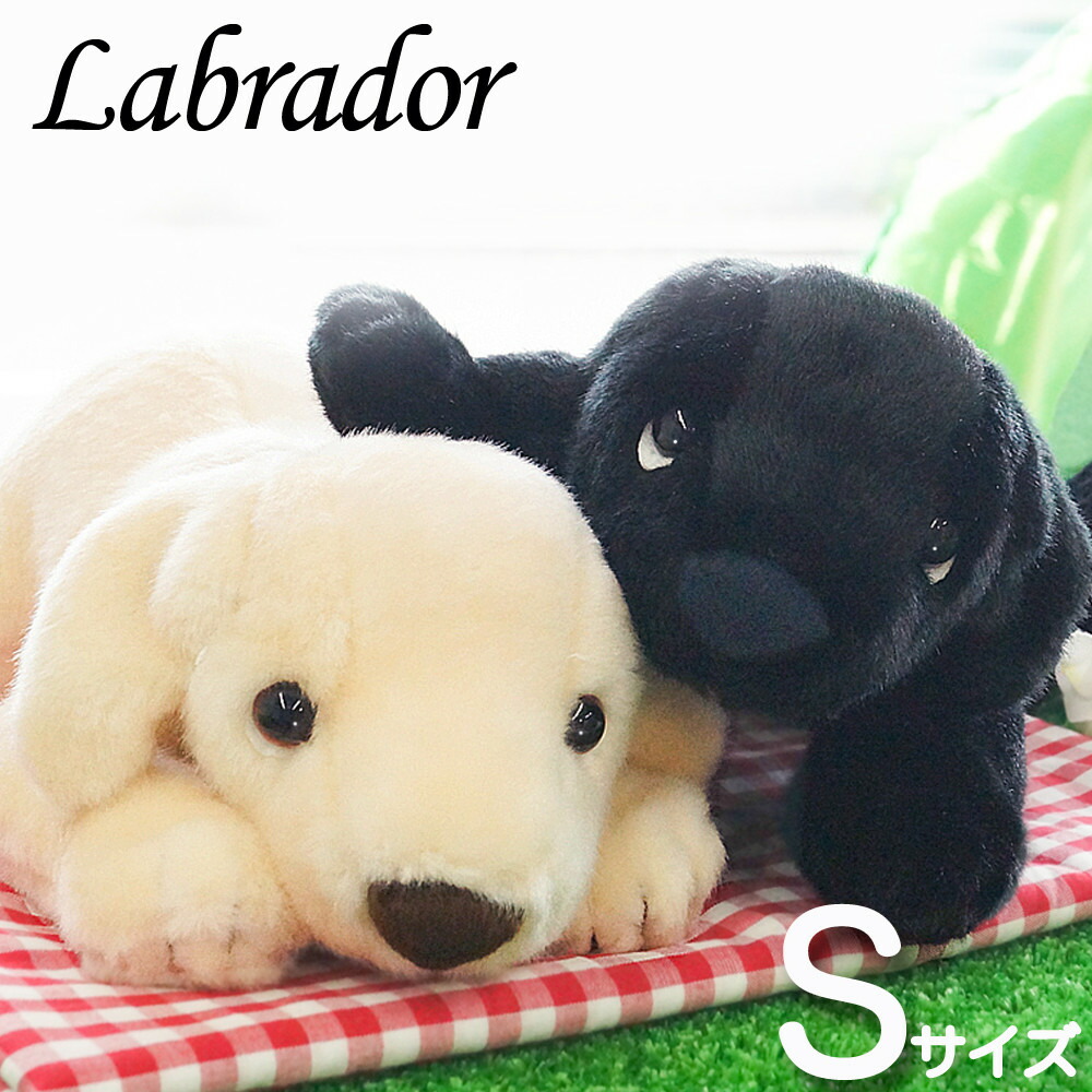 楽天市場】ぬいぐるみ 犬 ラブラドールレトリバー 白 黒 イエロー
