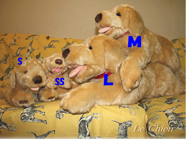 楽天市場】ゴールデン レトリバー グッズ ゴールデンレトリバー いぬ