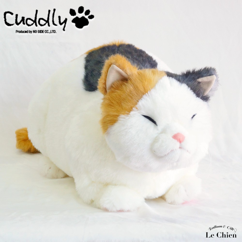 楽天市場】ぬいぐるみ 三毛猫【マリアリラックス】 cuddly カドリー ね