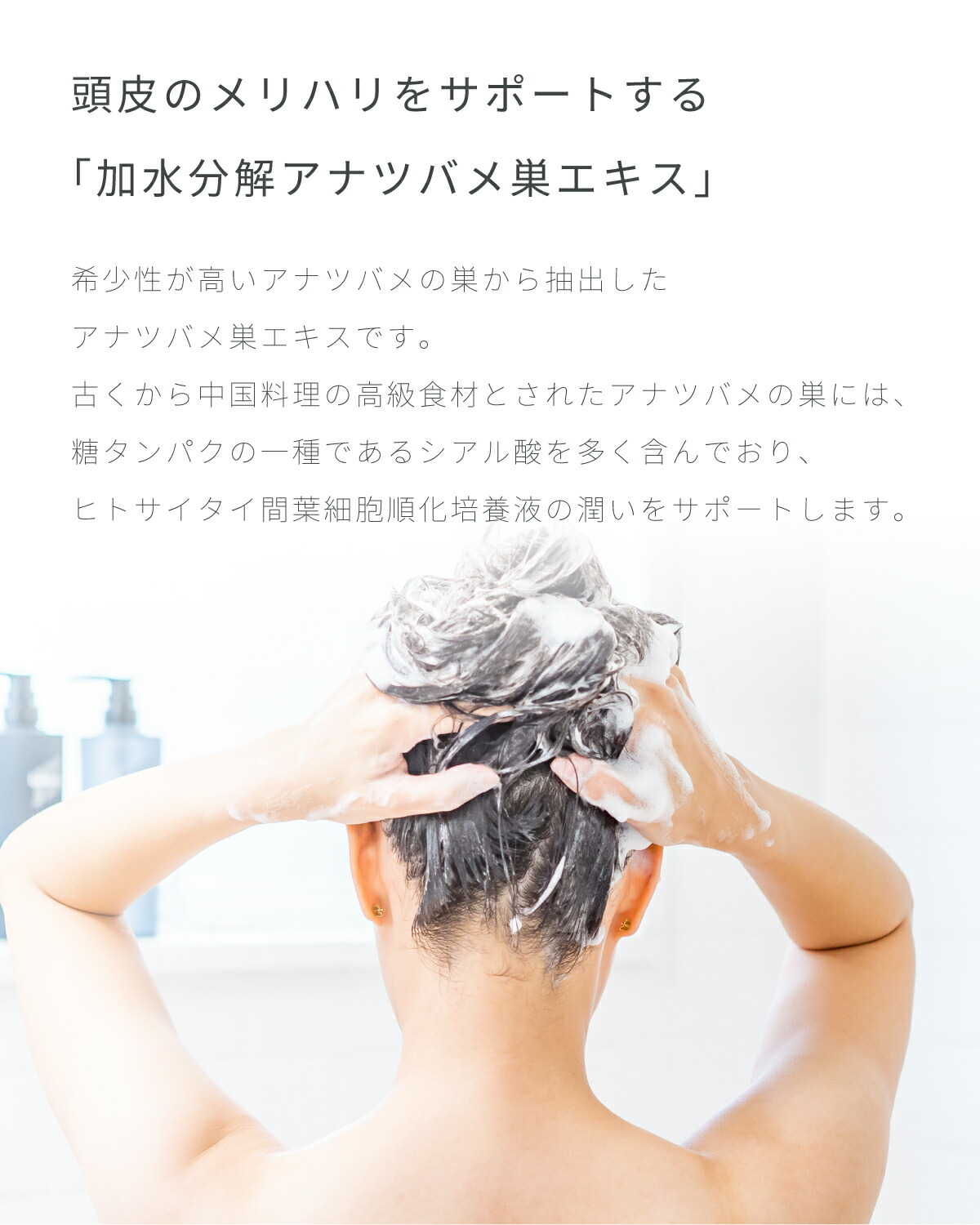 楽天市場】《ポイント3倍！5日23:59まで》【Lekarka 公式