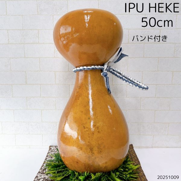 楽天市場】イプヘケ フラダンス フラ 楽器 打楽器 イプ ハワイアン