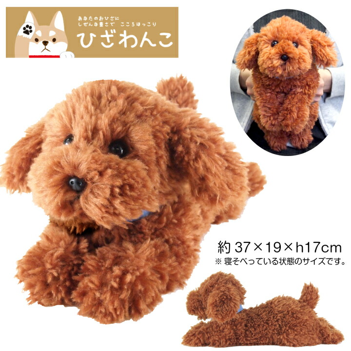 楽天市場】【ひざシリーズ】【ギフトラッピング承り中！】こころ