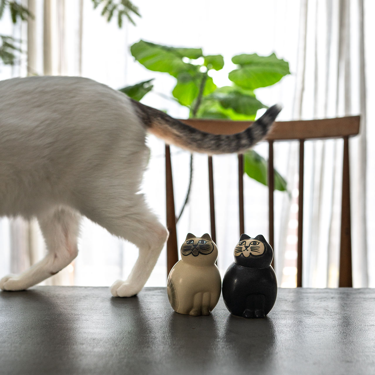 楽天市場】【個体で選べる】 プレゼントボックス入り 正規品 MIA S