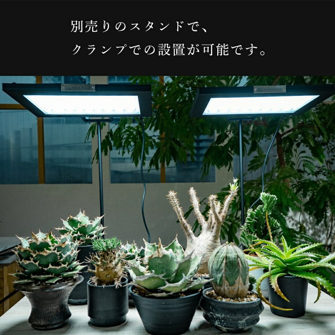 楽天市場】ROKI350 植物育成用ライト パネルライト ROKI ロキ 植物育成