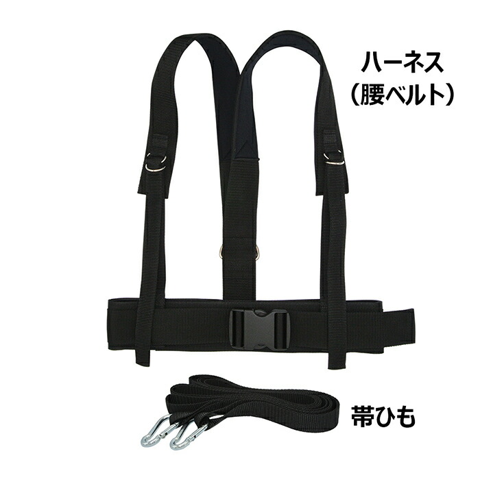 楽天市場】トレーニング用 そり スレッド ハーネス付 LINDSPORTS