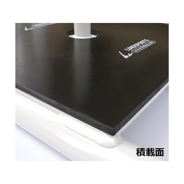 楽天市場】トレーニング用 そり スレッド ハーネス付 LINDSPORTS