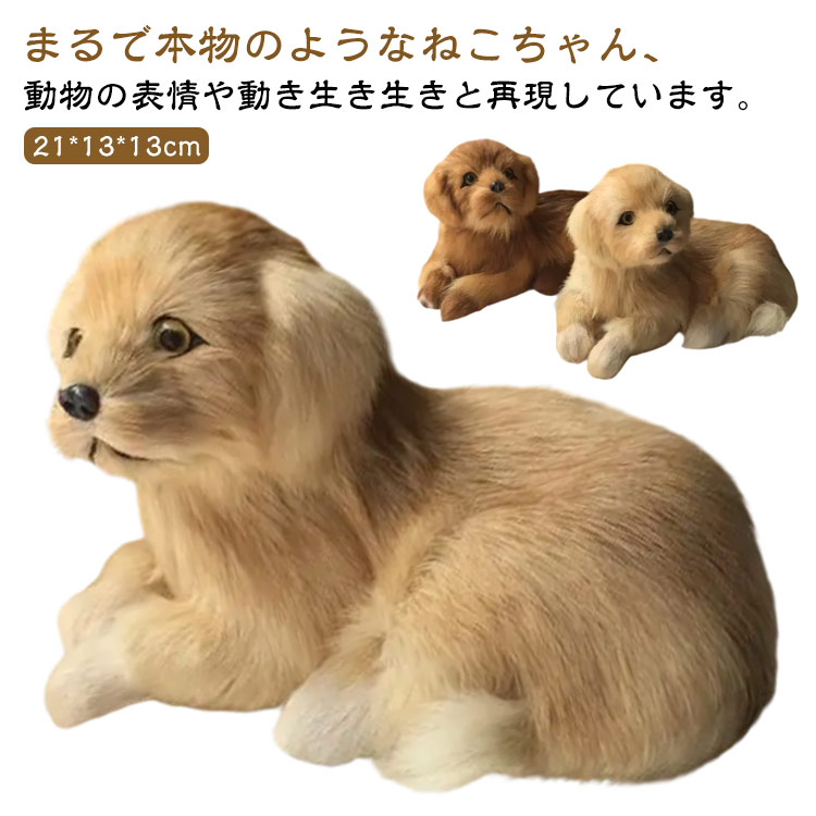 楽天市場】ぬいぐるみ ゴールデンレトリバー ゴールデン・レトリーバー