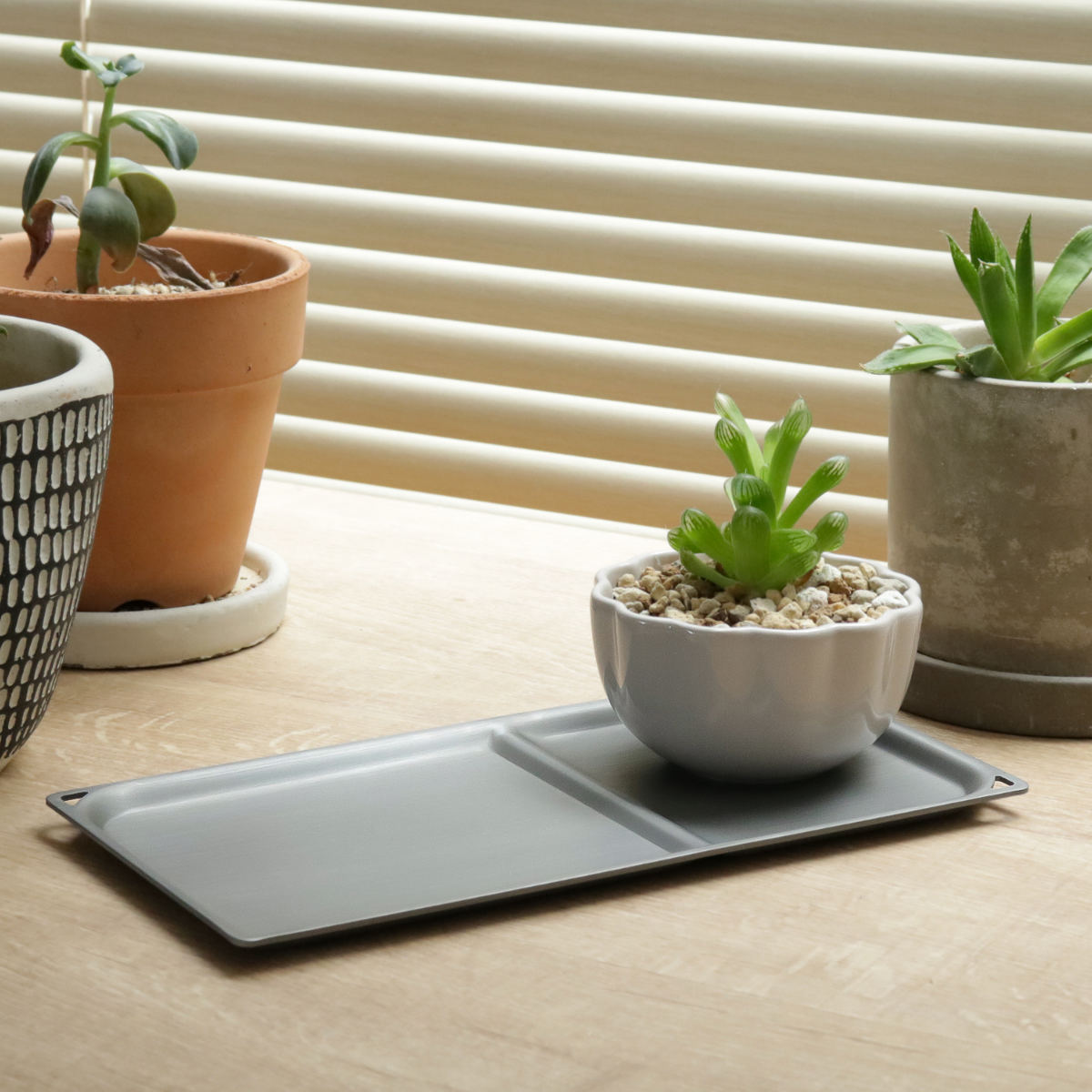 楽天市場】トレー 22cm スクエア トリートレイ アルミニウム （ トレイ