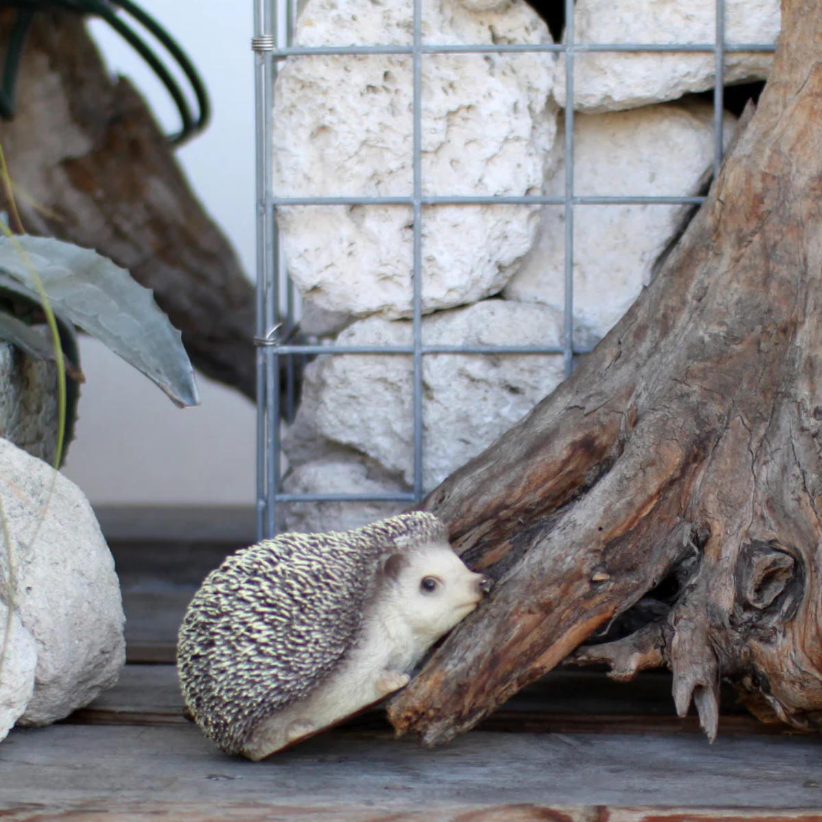 楽天市場】オブジェ ハリネズミ ペットバンク 貯金箱 （ 置物 動物