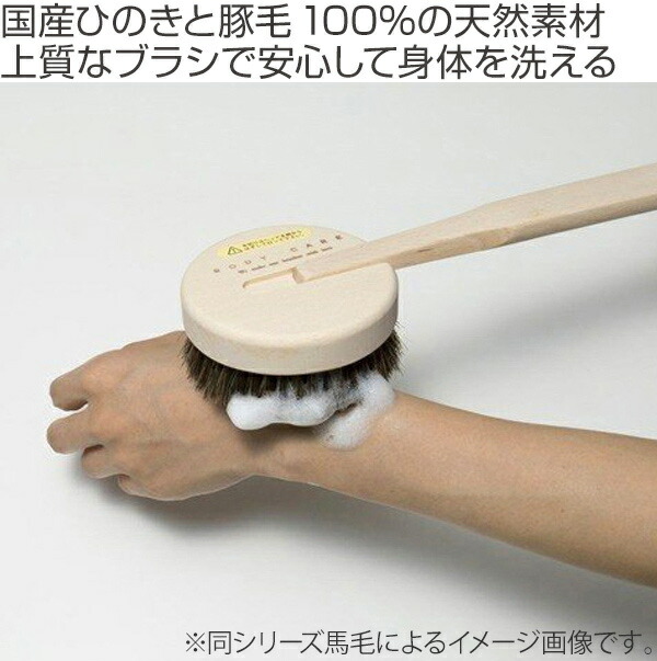 楽天市場】ボディブラシ マーナ MARANA ひのきボディブラシ 長柄 豚毛