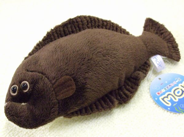 楽天市場】海のともだちシリーズ mar ヒラメ・ひらめ・平目 サイズ