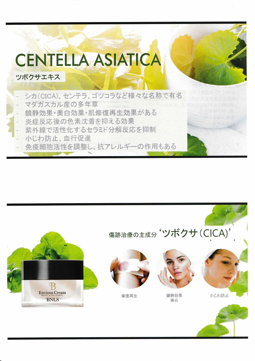 楽天市場】韓国 美容外科 bnls エンビオスクリーム bndクリーム ブルー