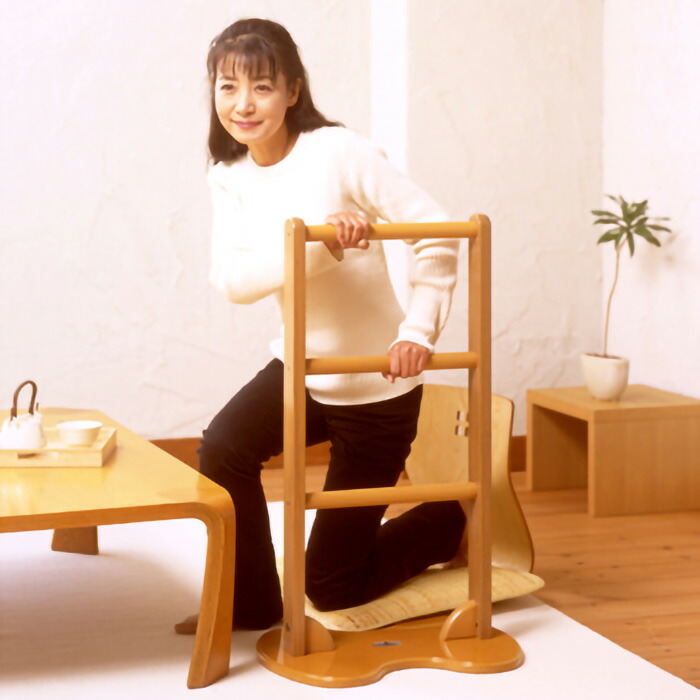 楽天市場】立ち上がり補助手すり どこでも手すりB 300391 ライト