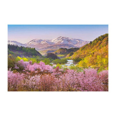 楽天市場】【取寄品】 ジグソーパズル 1000ピース 春茜 月山と大山桜