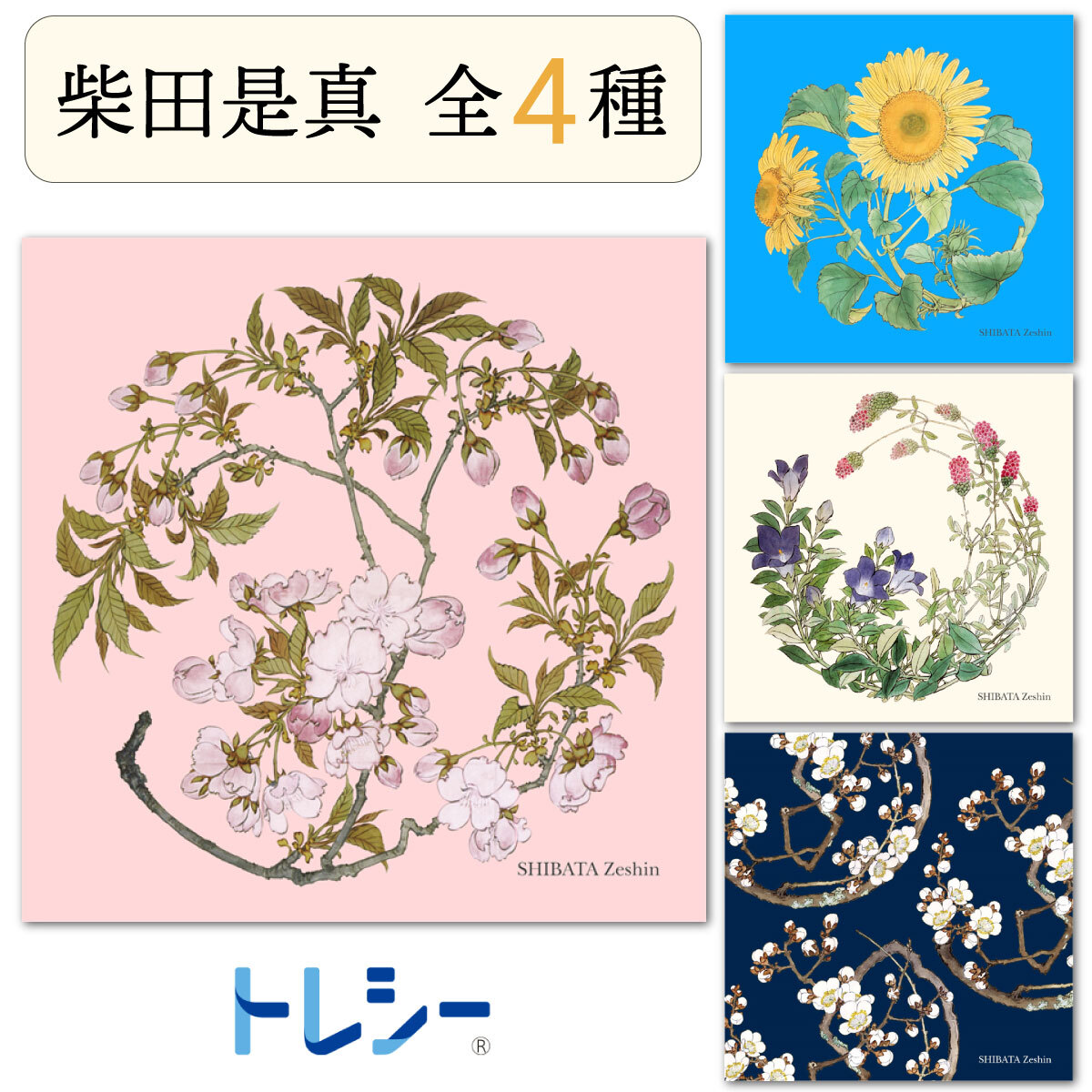 楽天市場】東レ トレシー メガネ拭き クロス メガネ拭きクロス メガネ