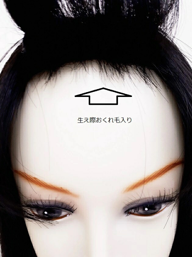 楽天市場】【 EM-50001 ダークブラウン Mサイズ】 総手植え全頭かつら