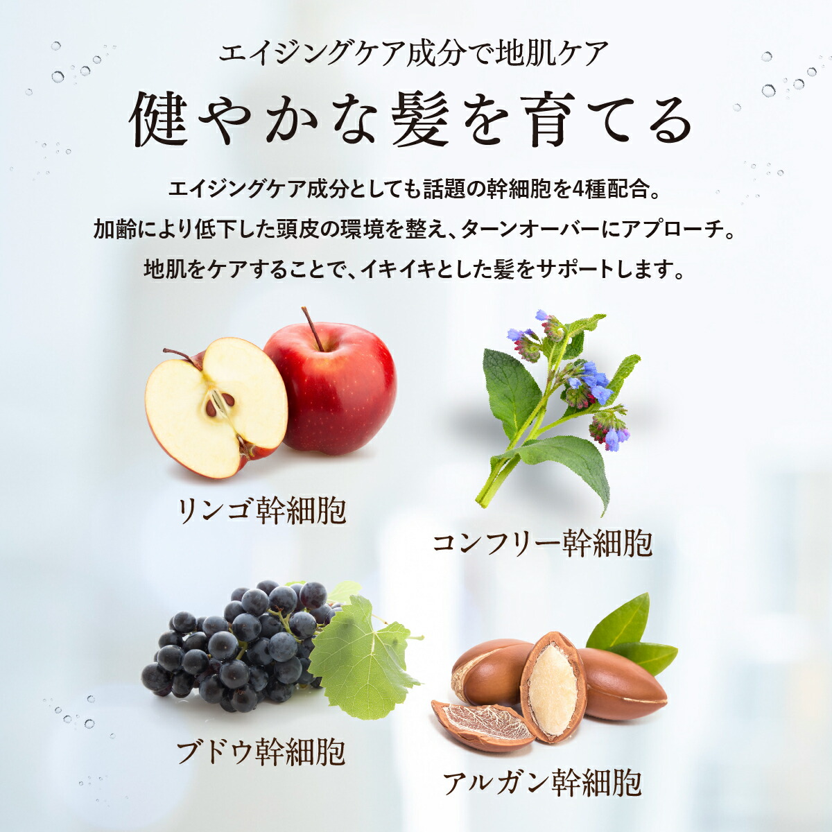 楽天市場】DayRalColor デイラルカラー ブラウン ダークブラウン