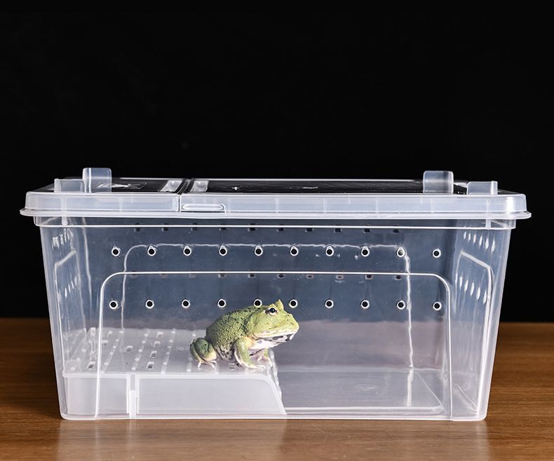 楽天市場】送料無料 飼育ケース プラスチックケース プラケース 両生類