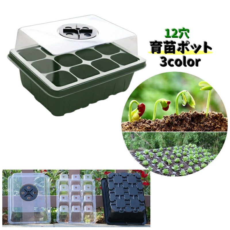 楽天市場】送料無料 育苗ポット 12穴 単品 育苗トレー 育苗トレイ 蓋