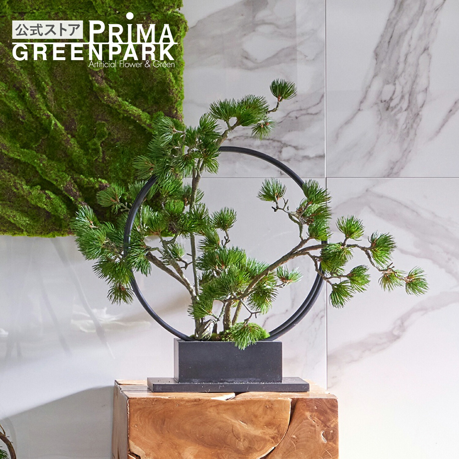 楽天市場】【公式】松 吹き流し 2本 リングベースL CUPBON 盆栽