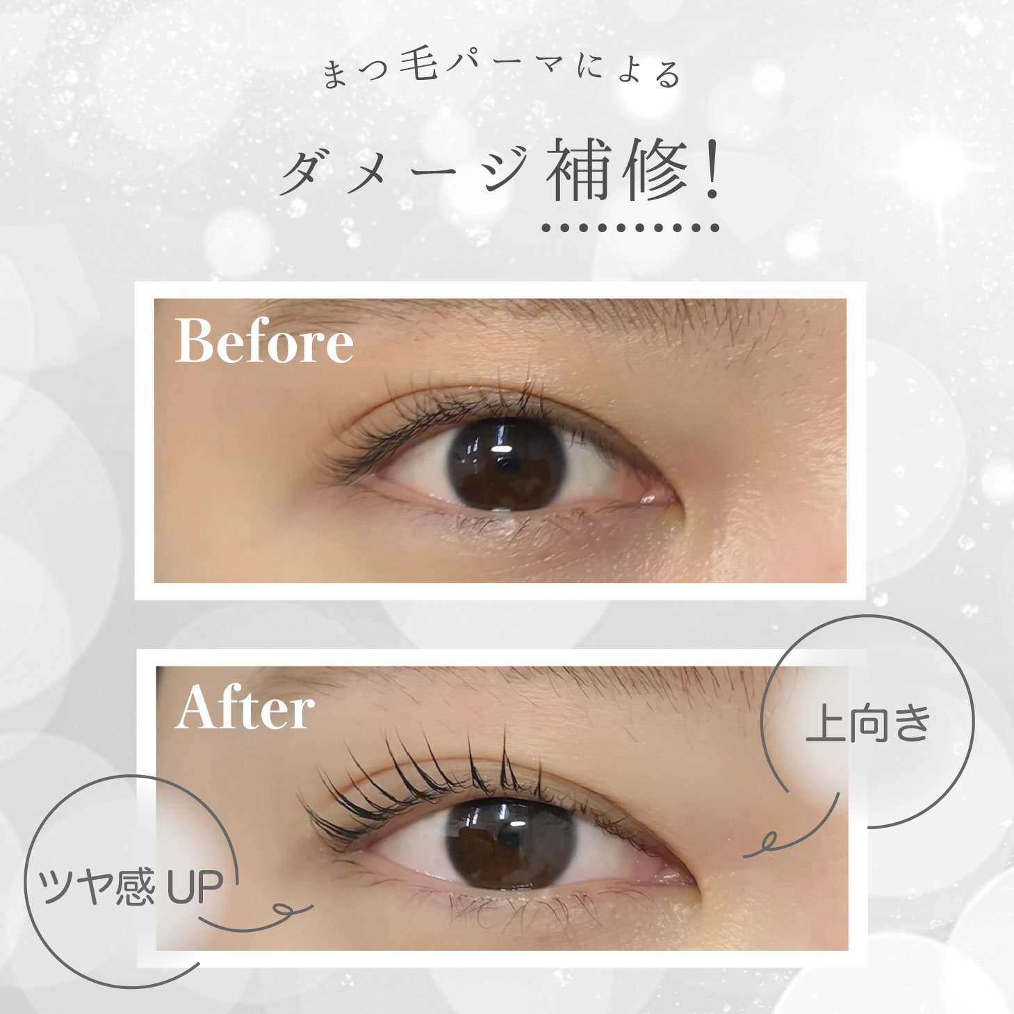 楽天市場】【まつげ美容液】【5本セット】【直営サロンでNo1】 まつ毛