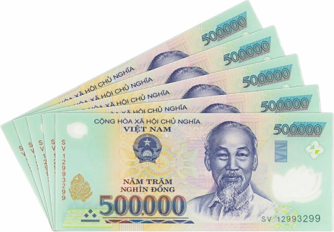 楽天市場】【品質保証書付】ベトナム ドン 50万ドン 5枚 ベトナムドン