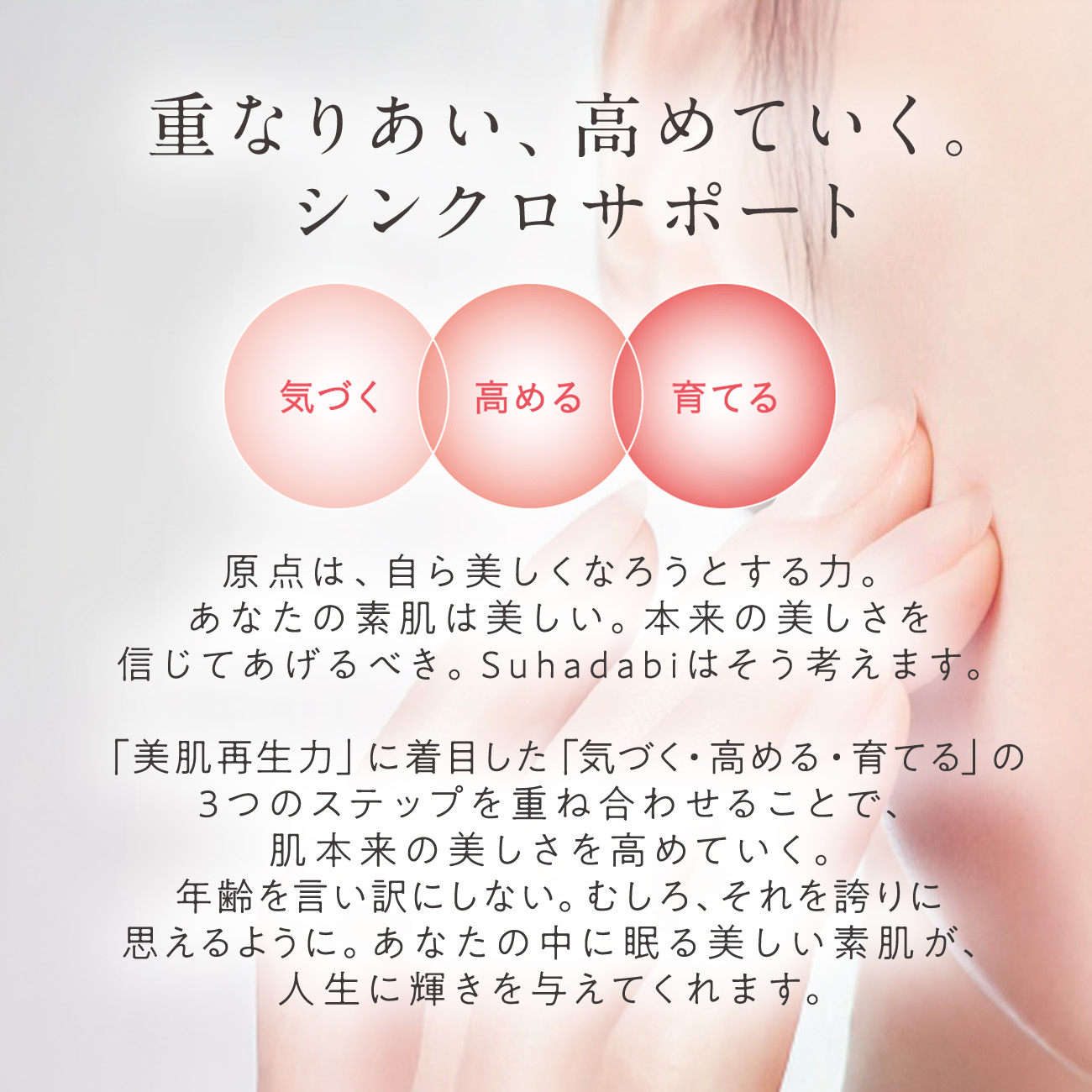 楽天市場】【ポイント20倍 3/4 20:00～3/11 01:59】【公式】Suhadabi