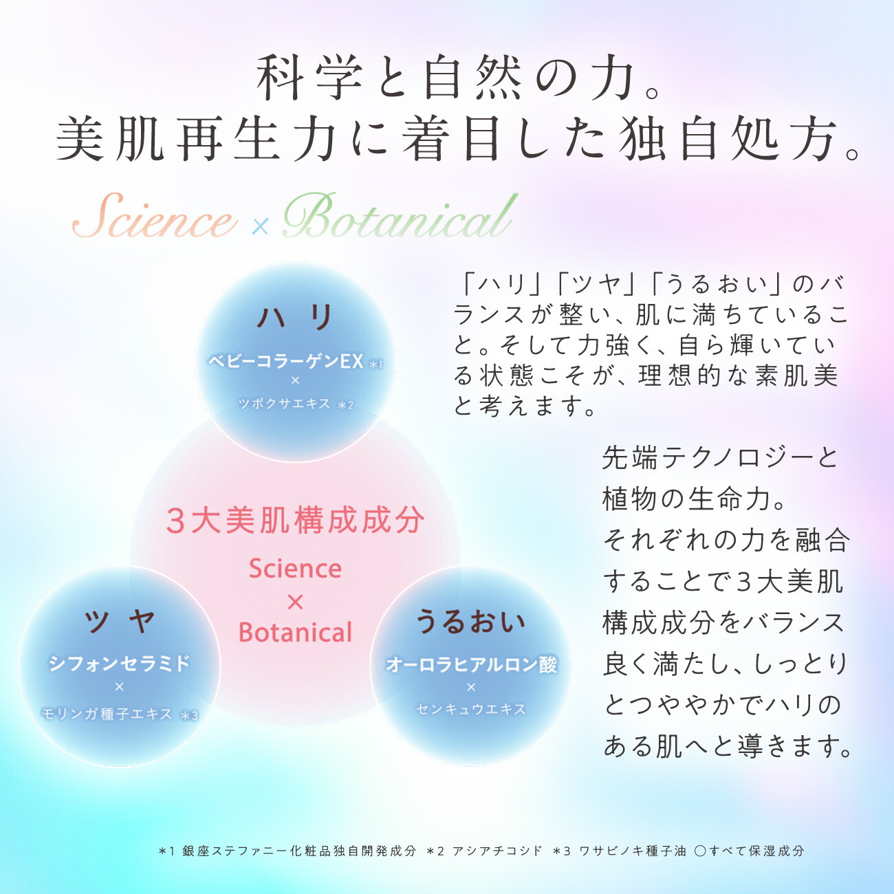 楽天市場】【ポイント20倍 3/4 20:00～3/11 01:59】【公式】Suhadabi