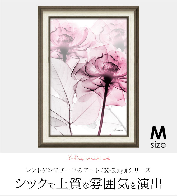 楽天市場】x-ray アートフレーム キャンバスアート 花 アートパネル