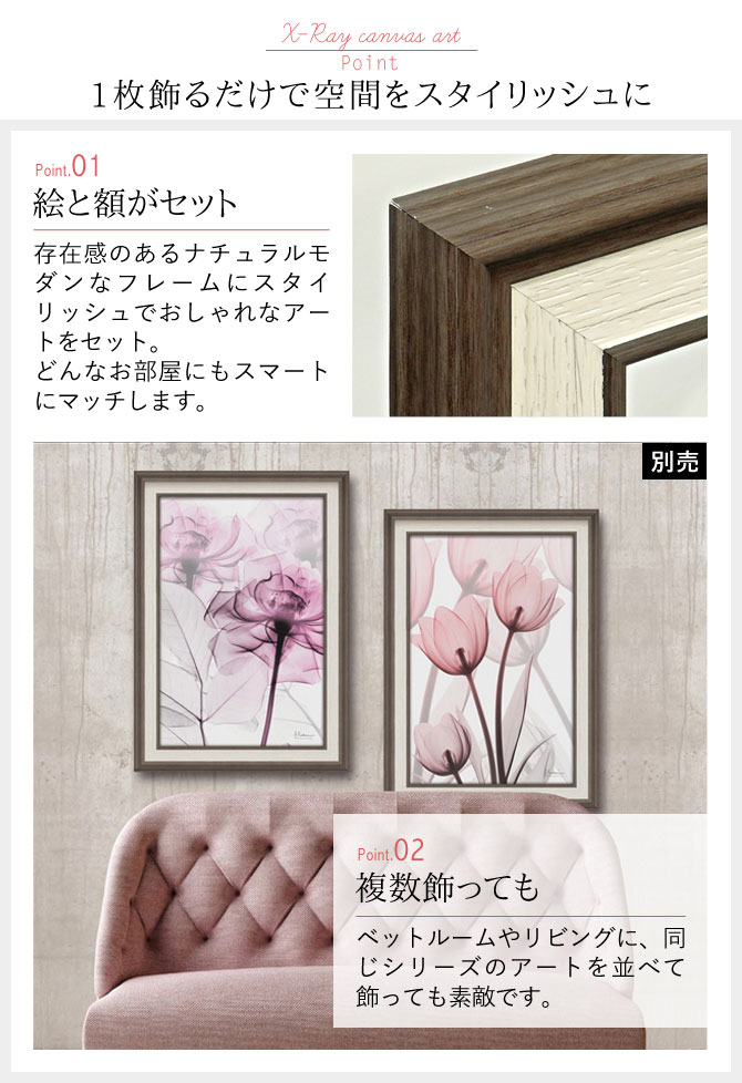 楽天市場】x-ray アートフレーム キャンバスアート 花 アートパネル