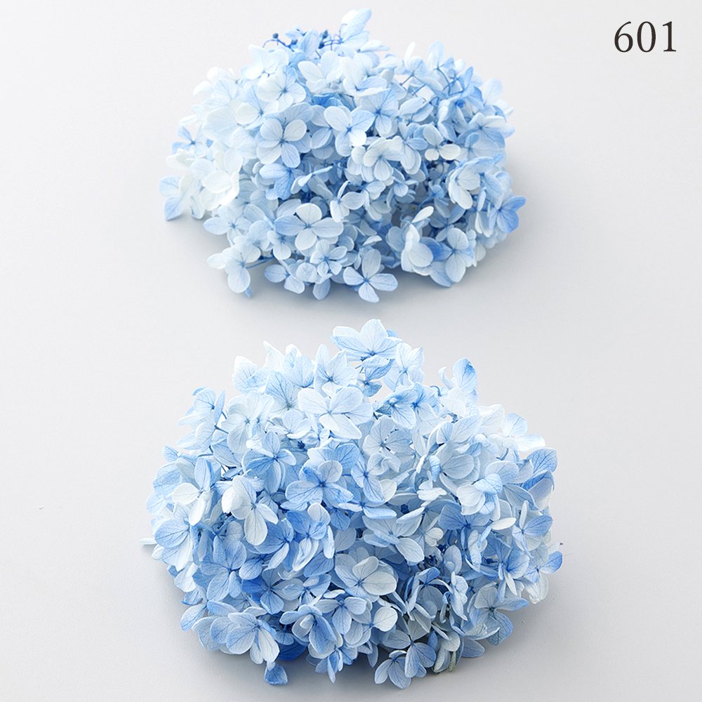 楽天市場】プリザーブドフラワー 花材 とりよせ品 ピラミッドアジサイ