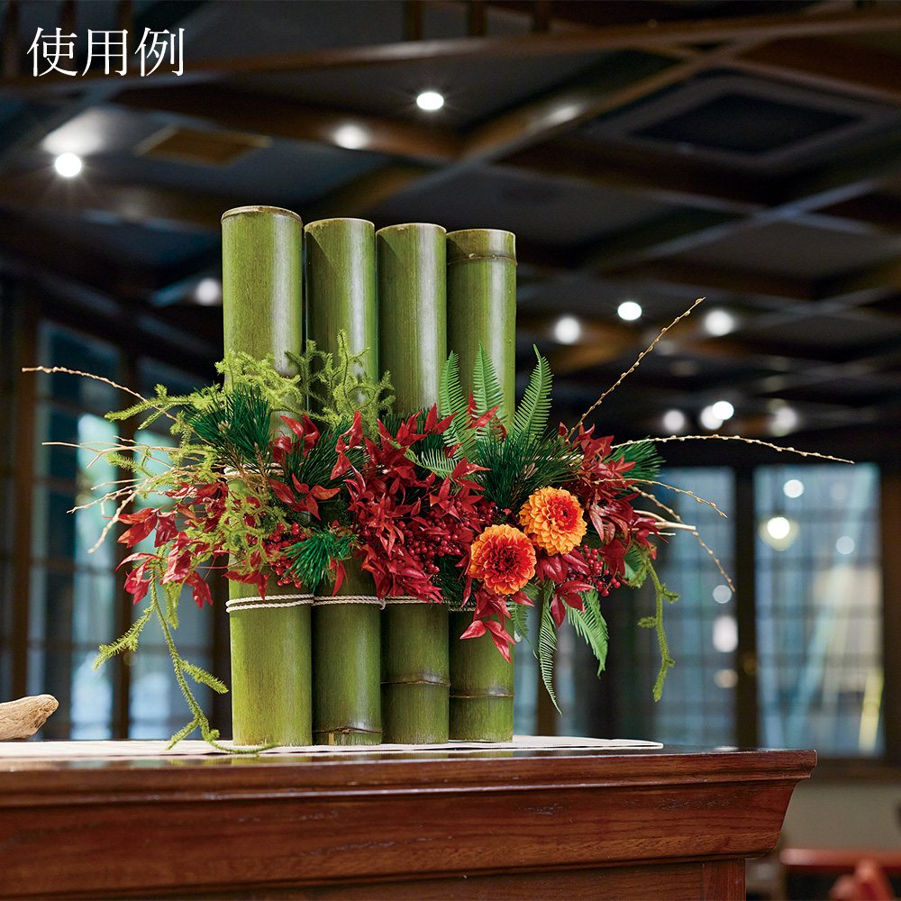 楽天市場】ドライフラワー 花材 とりよせ品 しだれ柳・プリザーブド 花